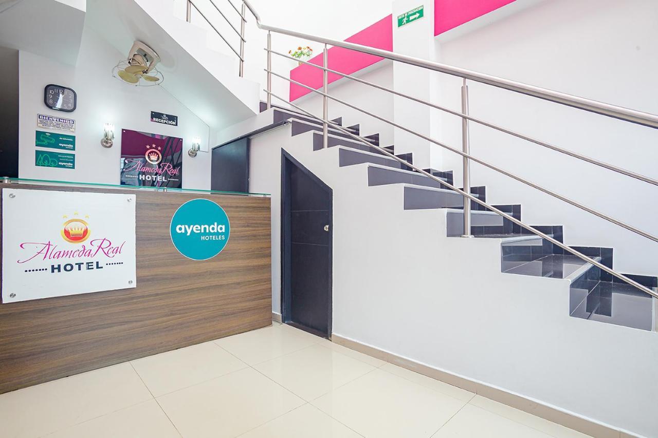 Ayenda Alameda Real Hotel Montería Eksteriør billede